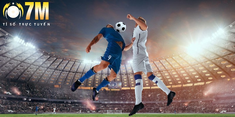 Live Score 7M 3 Người chơi không cần chi trả bất cứ khoản phí nào khi truy cập danh mục