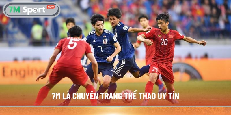 7M là chuyên trang thể thao uy tín