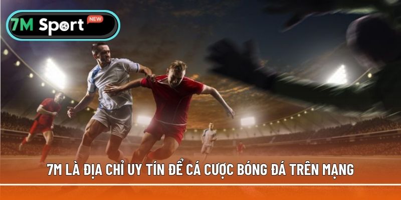 7M là địa chỉ uy tín để cá cược bóng đá trực tuyến