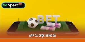 App cá cược bóng đá