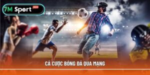 Cá cược bóng đá qua mạng