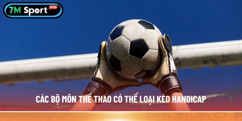 Các bộ môn thể thao có thể loại kèo Handicap