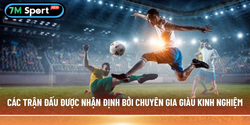 Các trận đấu được nhận định bởi chuyên gia giàu kinh nghiệm