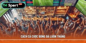 Cách cá độ bóng đá luôn thắng