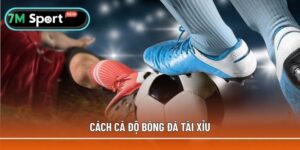 Cách cá độ bóng đá tài xỉu