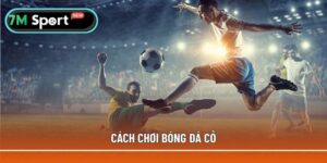 Cách chơi bóng đá cỏ