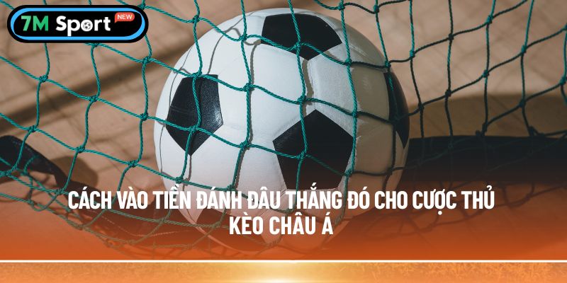 Cách vào tiền đánh đâu thắng đó cho cược thủ
