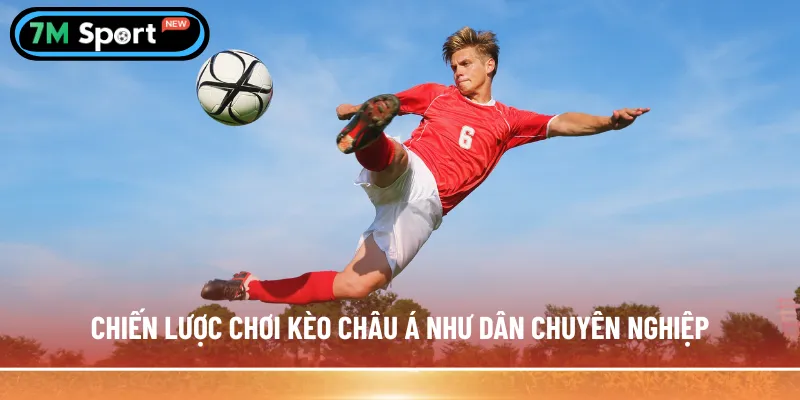 Chiến lược chơi kèo châu Á như dân chuyên nghiệp