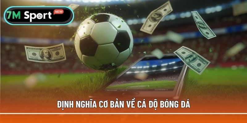 Định nghĩa cơ bản về độ bóng đá thắng