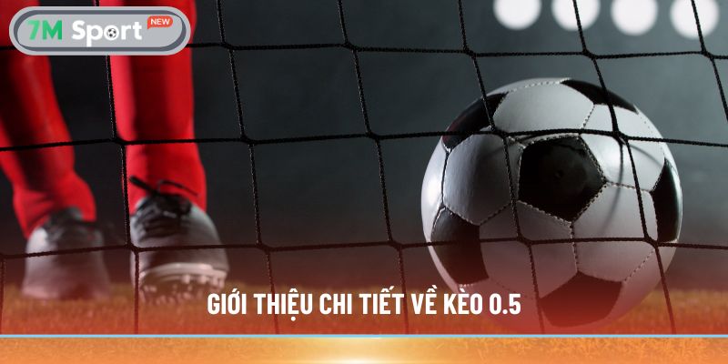 Giới thiệu chi tiết về kèo chấp 0.5