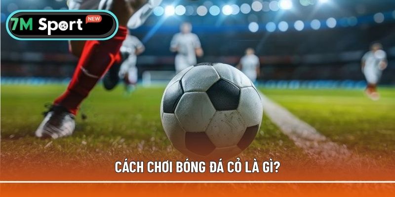 Giới thiệu sơ lược về cách chơi bóng đá cỏ