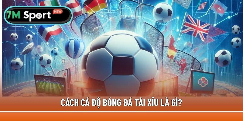 Giới thiệu về cách cá độ bóng đá tài xỉu