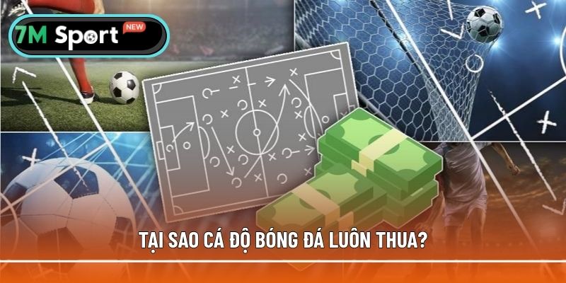 Những lý do minh chứng cụ thể tại sao cá độ bóng đá luôn thua