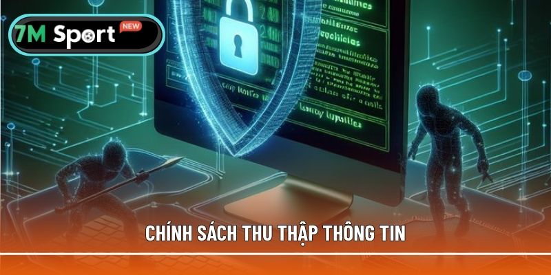 Quy trình thu thập thông tin tại 7M
