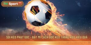 Soi kèo phạt góc