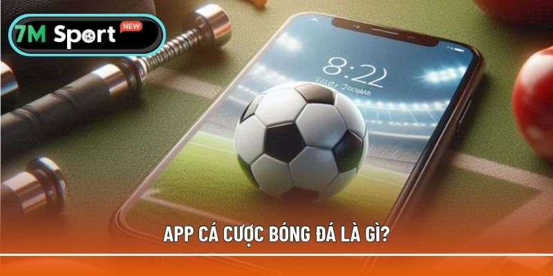 Thông tin sơ lược về app cá cược bóng đá