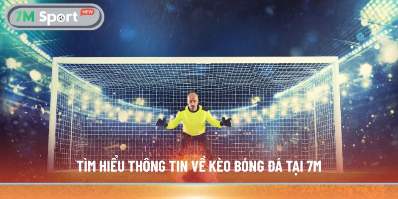 Tìm hiểu thông tin về kèo bóng đá tại 7M