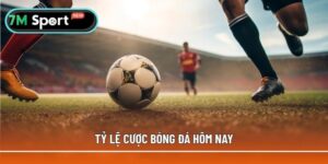 Xem tỷ lệ cá cược bóng đá hôm nay